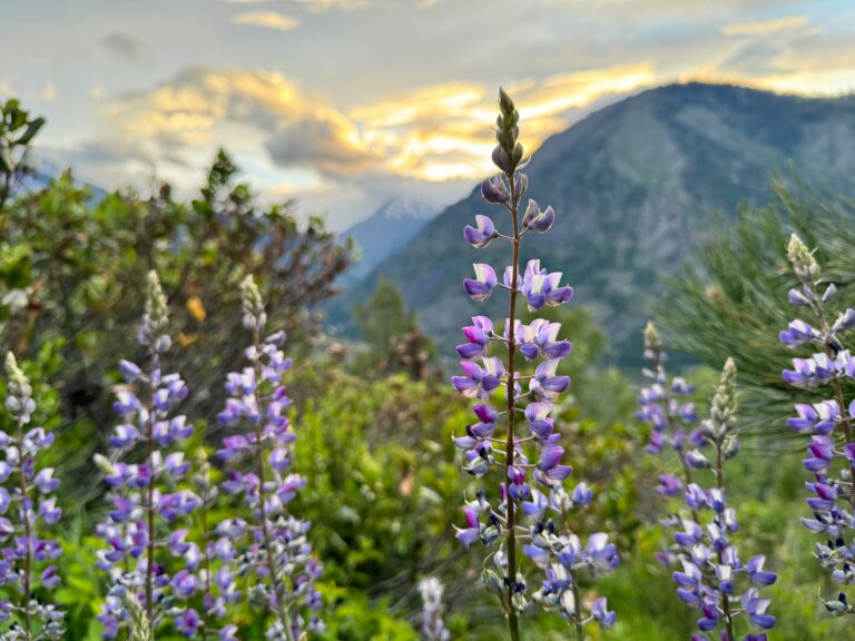 Cascade Mountains of Leavenworth, WA